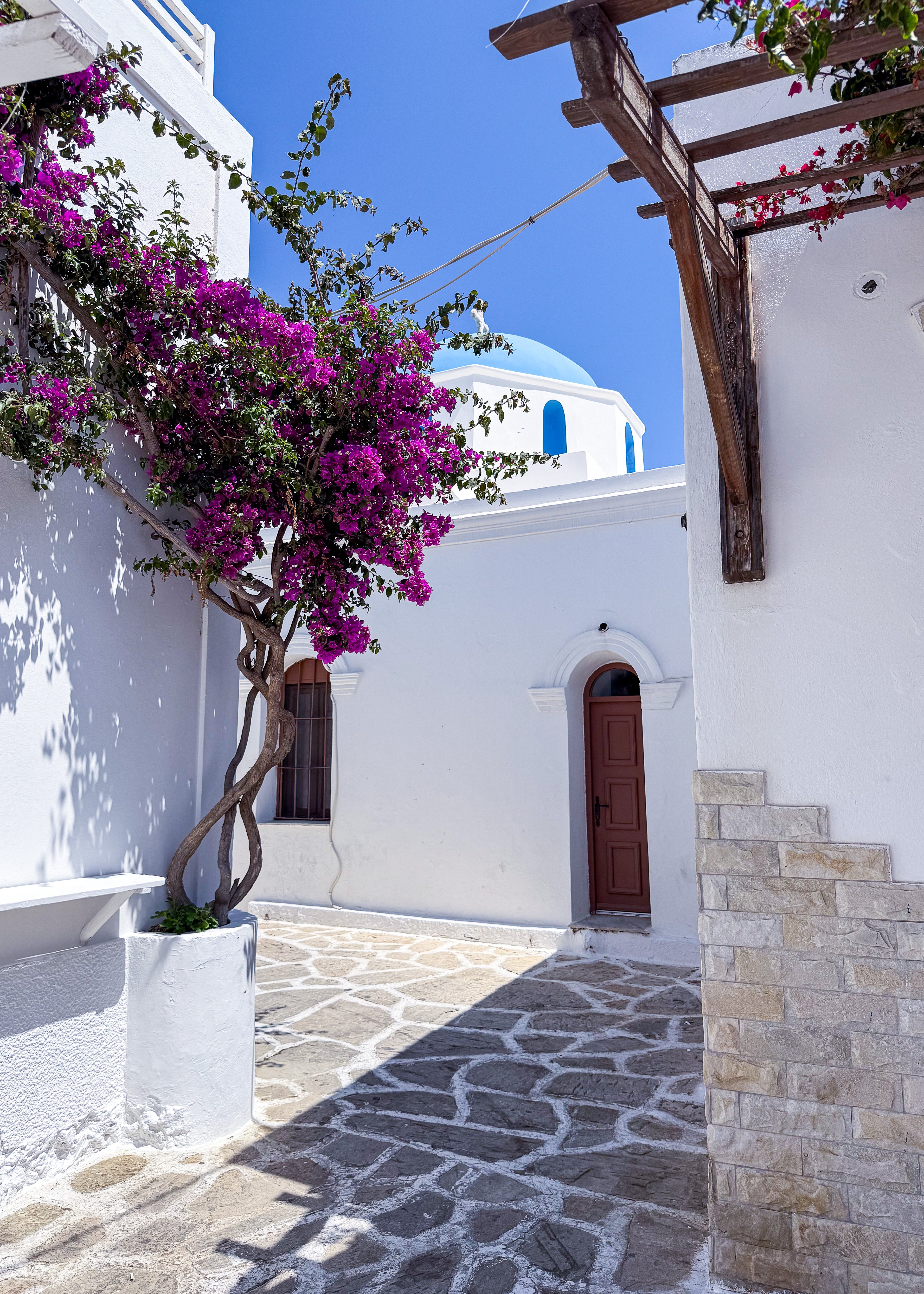 Pink bougainvillea against white walls in Naousa, Paros – photographic wall art print