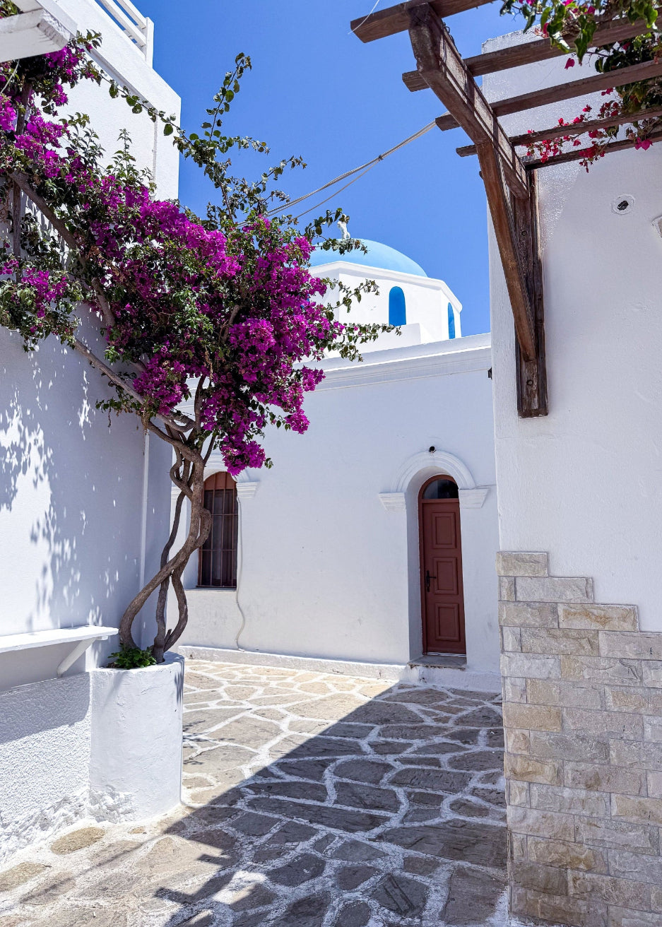 Pink bougainvillea against white walls in Naousa, Paros – photographic wall art print