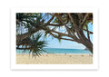 Through the Pandanus