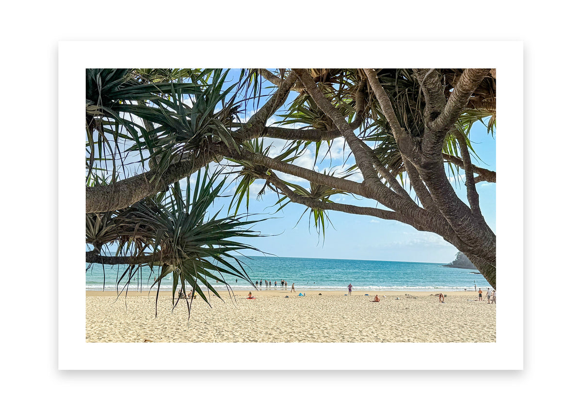 Through the Pandanus