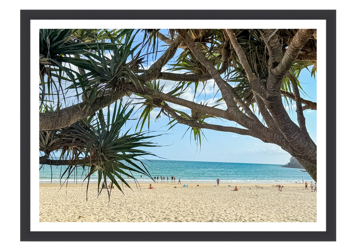 Through the Pandanus