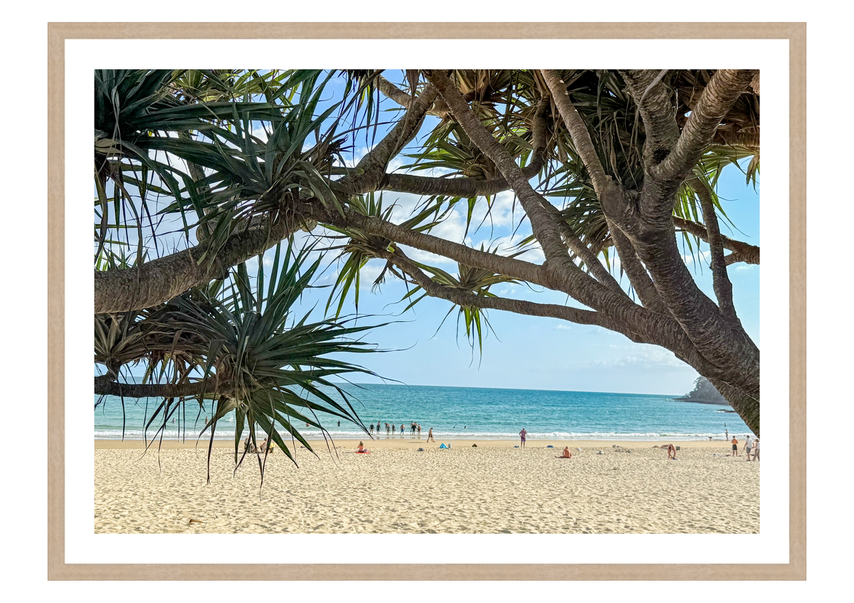 Through the Pandanus