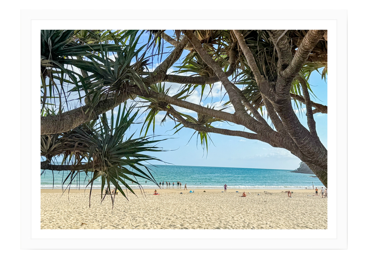 Through the Pandanus