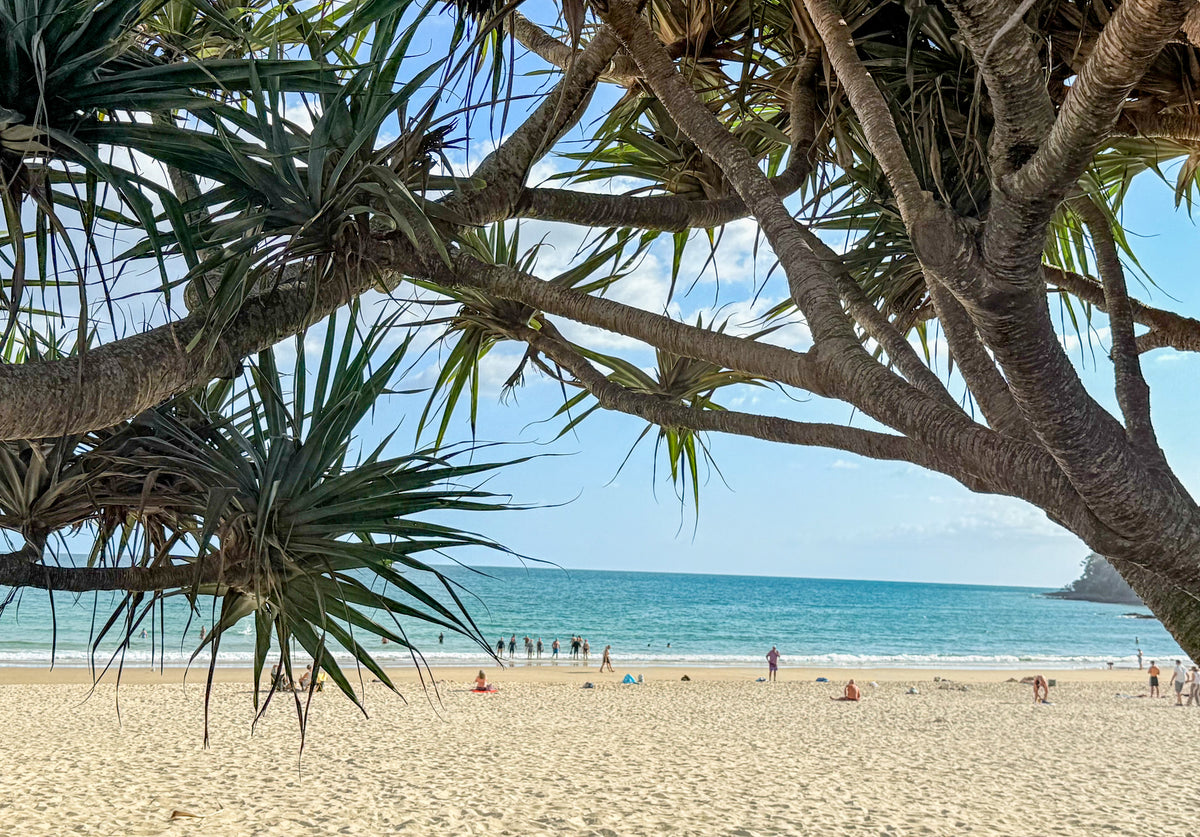 Through the Pandanus