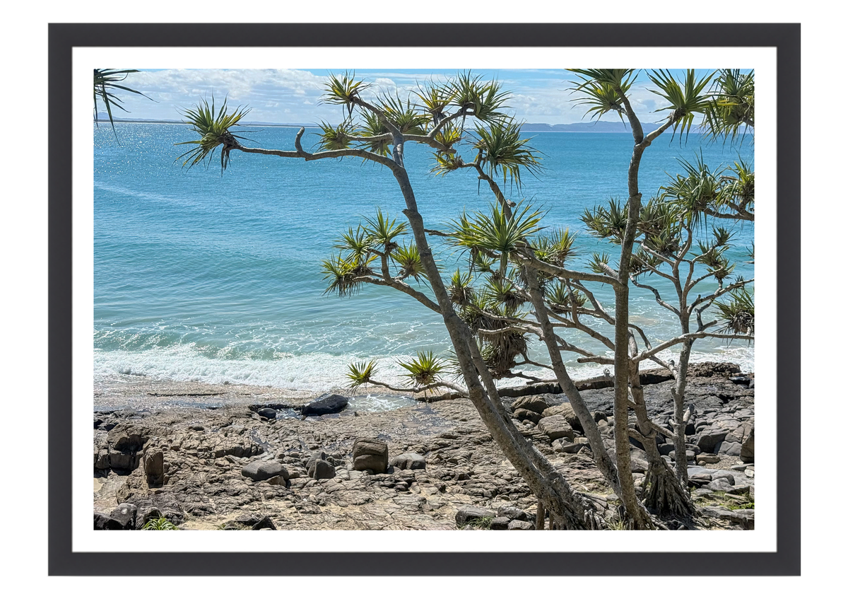 The Pandanus and the Sea