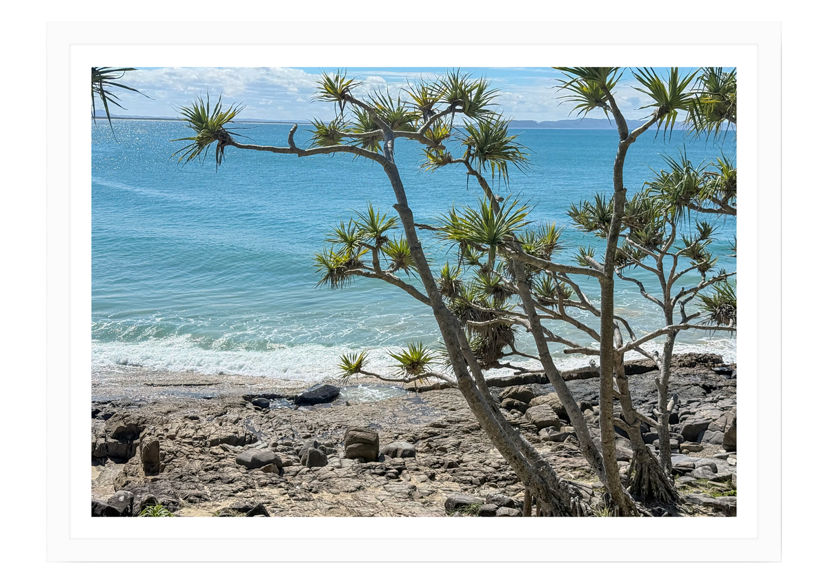 The Pandanus and the Sea