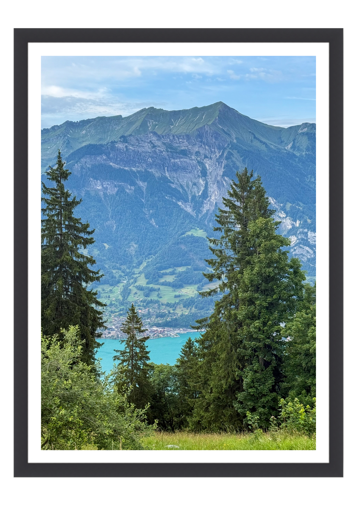 The Valley View