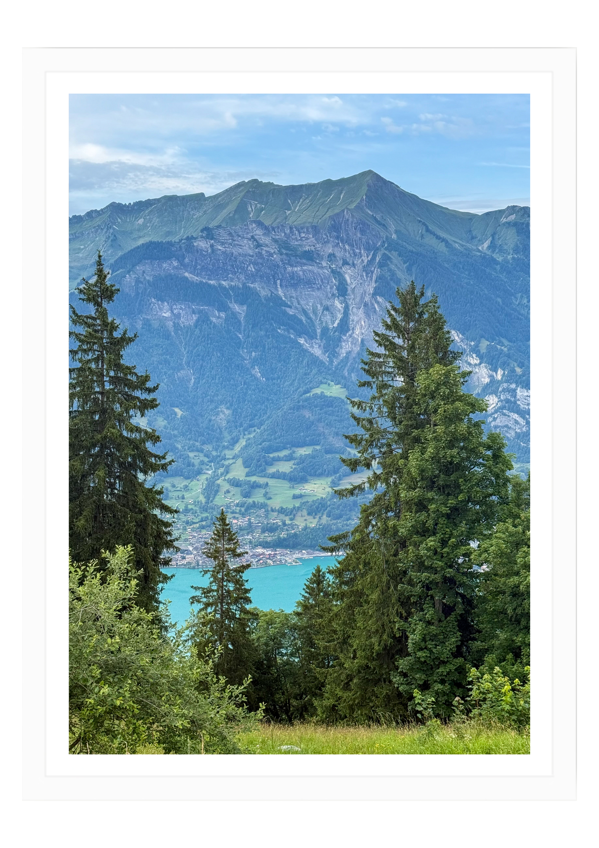 The Valley View