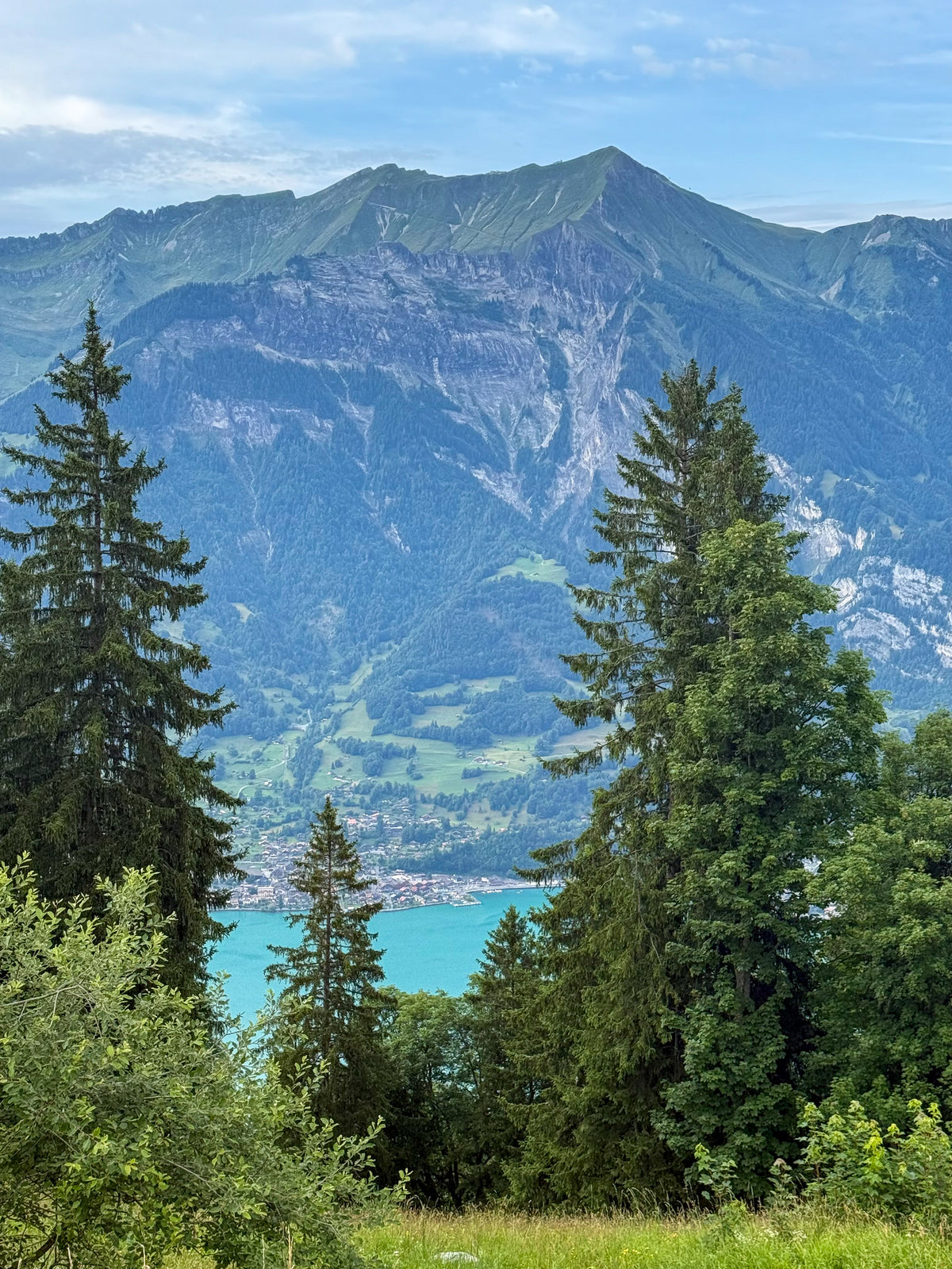 The Valley View